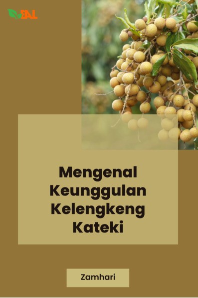 Mengenal Keunggulan Lengkeng Kateki